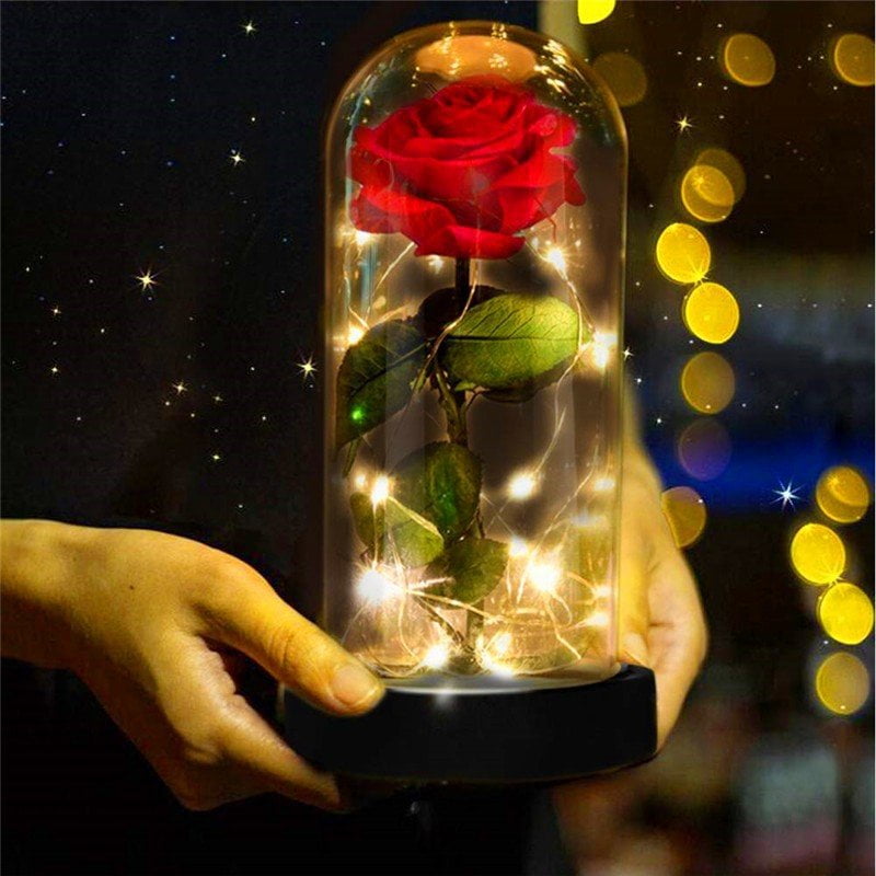 Rose Elegant Crystal Dome with Pine Base LED Lights Beauty and Magic Gifts Decoration for Valentines Day Anniversary Weddings Energy Efficiency Class A Beauty and The Beast Enchanted Rose Kit