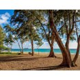 Noah Jigsaw Puzzle Waimanalo Beach Park, Oahu, Hawaii, USA 1000 pieces