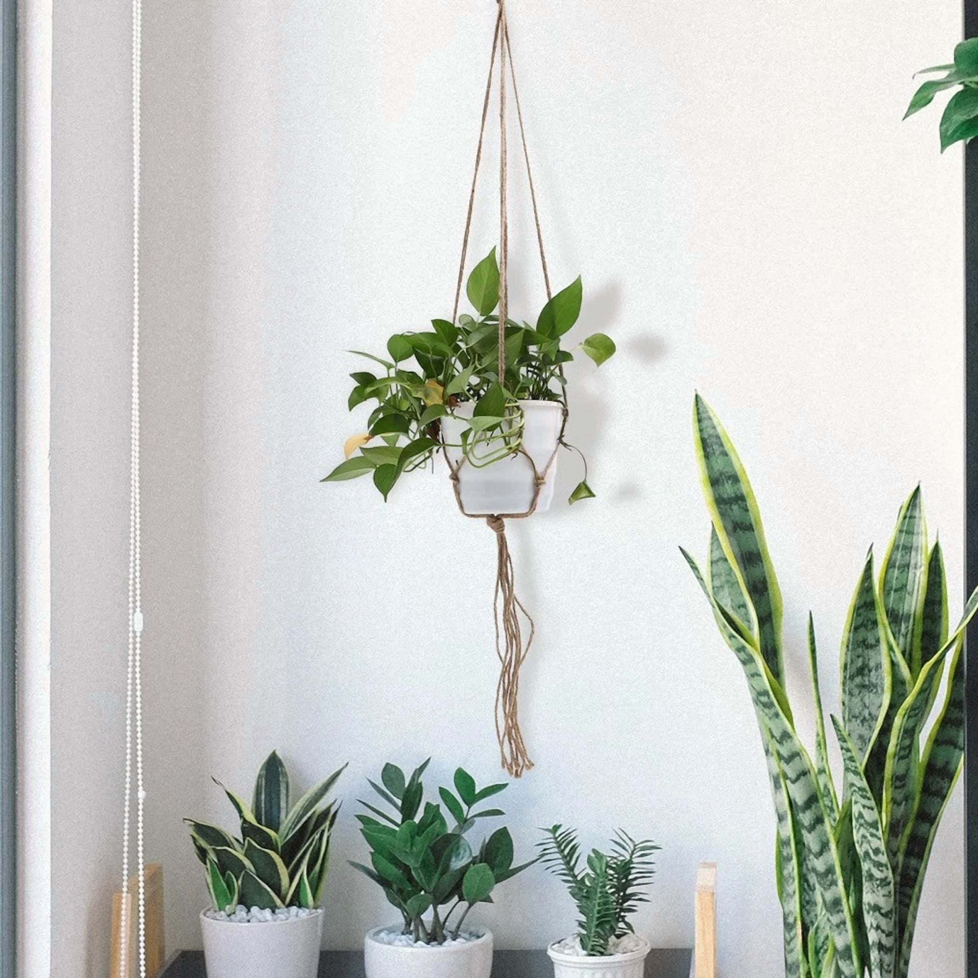 2 Pcs Indoor Plant Basket Hanging Net Bag Bohemian Flower Hanger Wall Planter