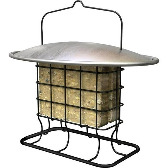 Age 25493   Age Heavy-Duty Double Suet Cage Feeder - Black - 2 Cake Cap