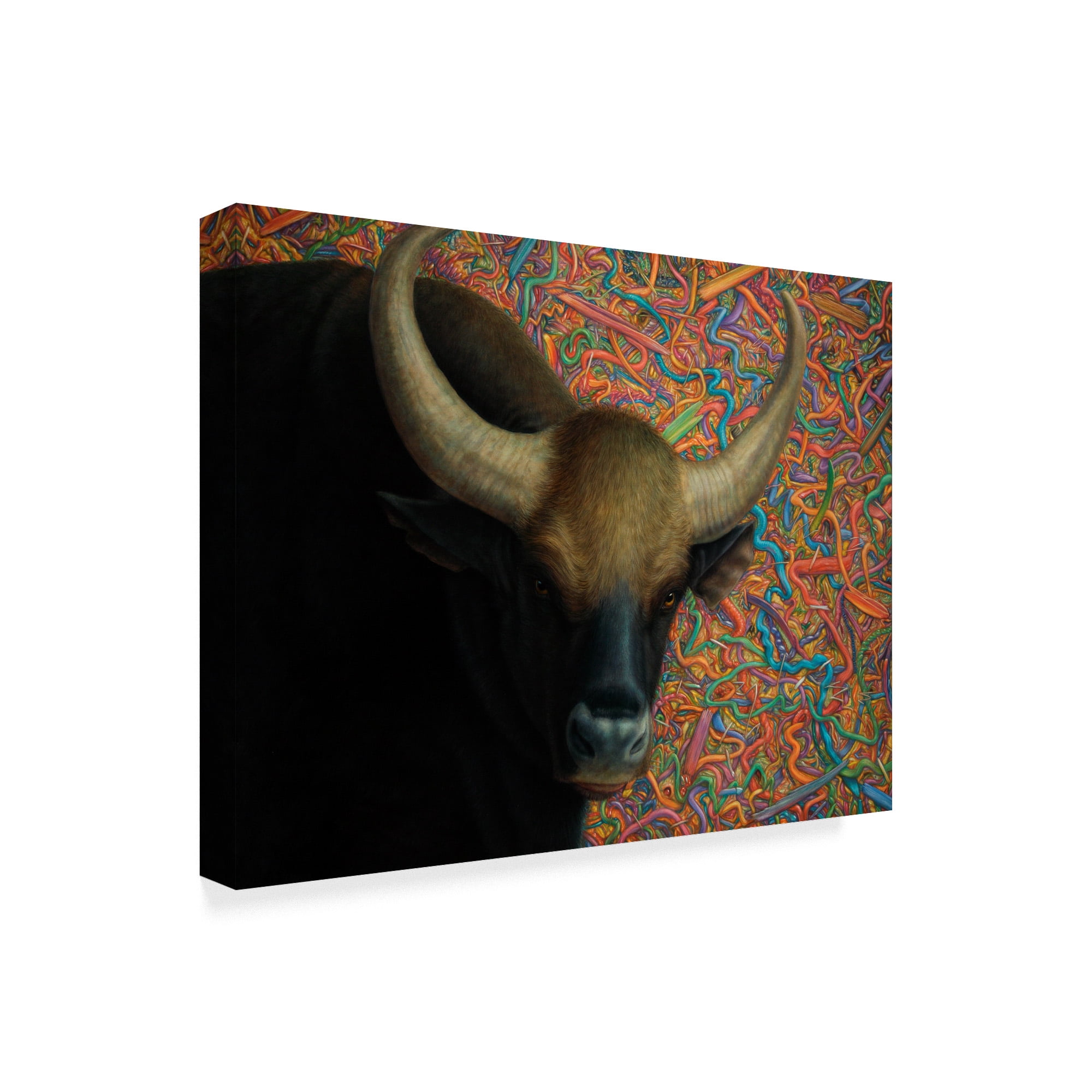 Trademark Fine Art 'Bull' Canvas Art by James W. Johnson