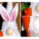 thumbnail image 3 of Conejito De Pascua Gnomo Decoración Pascua Muñeca Sin Rostro Pascua Juguete De Peluche Decoración Muñeco De Peluche Pascua Decoración Para El Hogar Yuarrent HA034925-00, 3 of 6