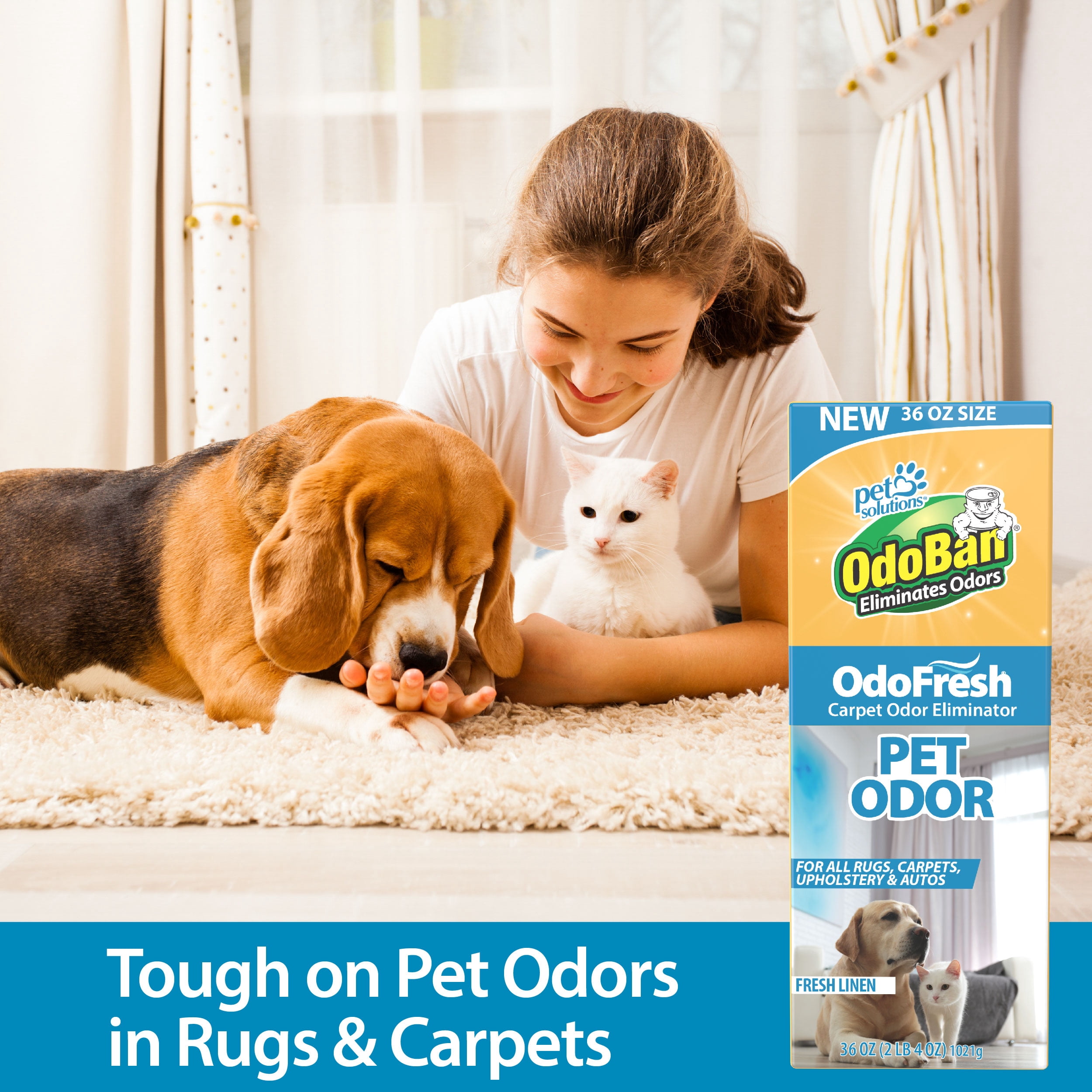 OdoBan OdoFresh Carpet and Room Deodorizer Powder for Home Smells and Odors Including Smoke, Pet Urine, Dogs, and Cat Litter, Fresh Linen Scent, 36 Ounces, Pack of 6