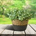 thumbnail image 5 of Bxaolu Plant Basket, 1-Pack Plant Basket Indoor with Plastic Liner, Woven Planters Flower Basket, Planter Basket for Rustic Boho Home Farmhouse Floor Potted Pots Decor (L, Black), 5 of 9
