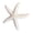 E-nnDh, variant on DVKOVI Mini Ocean Resin Animals Starfish Seashell Tiny Sea Models for Miniatures DIY Fish Tank Micro Landscaping One Size