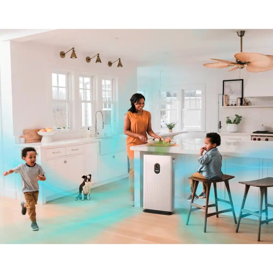 Shark HE601 6 True HEPA Air Purifier With Advanced Odor Lock
