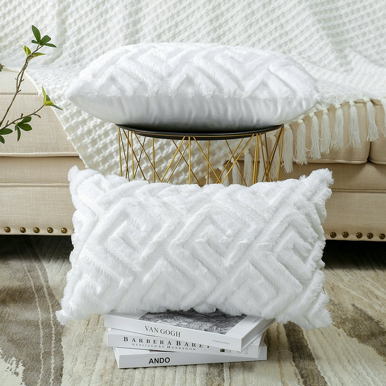 OTOSTAR Velvet Soft Decorative Throw Pillow Covers 24 x 24 Inch