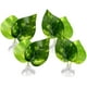 thumbnail image 1 of plantas decorativas para acuario con ventosa, hojas Betta, 1 of 5