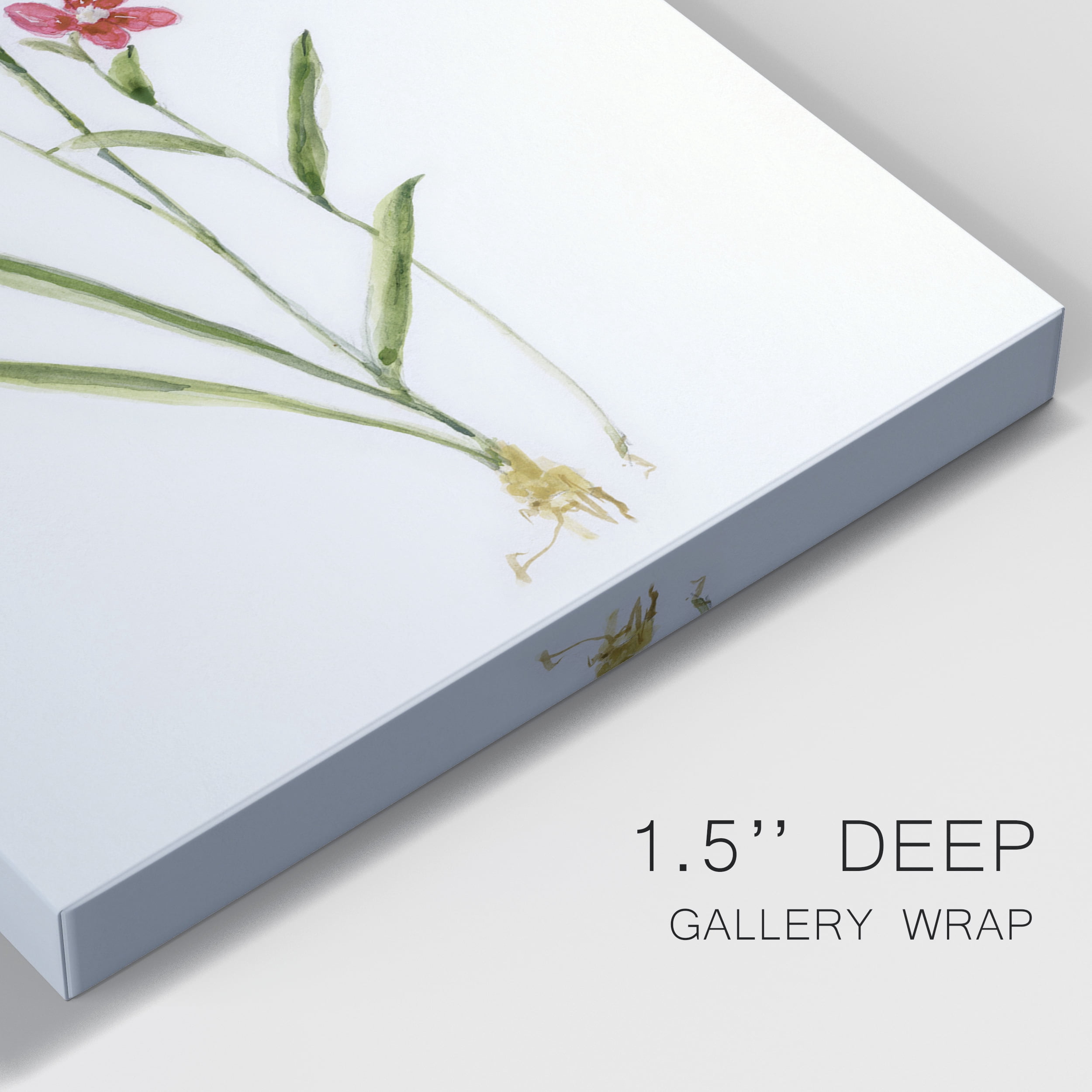Delicate Pink I Premium Gallery Wrapped Canvas - Ready to Hang - 32 x 48