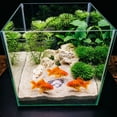 thumbnail image 4 of Tong Tanks Unique Themed Hide & Breeding Observation Tanks, 4 of 4