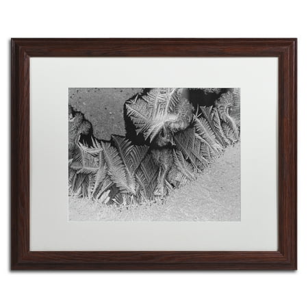 - Trademark Fine Art 'Window Frost Pattern 1' Matted Framed Art by Kurt Shaffer