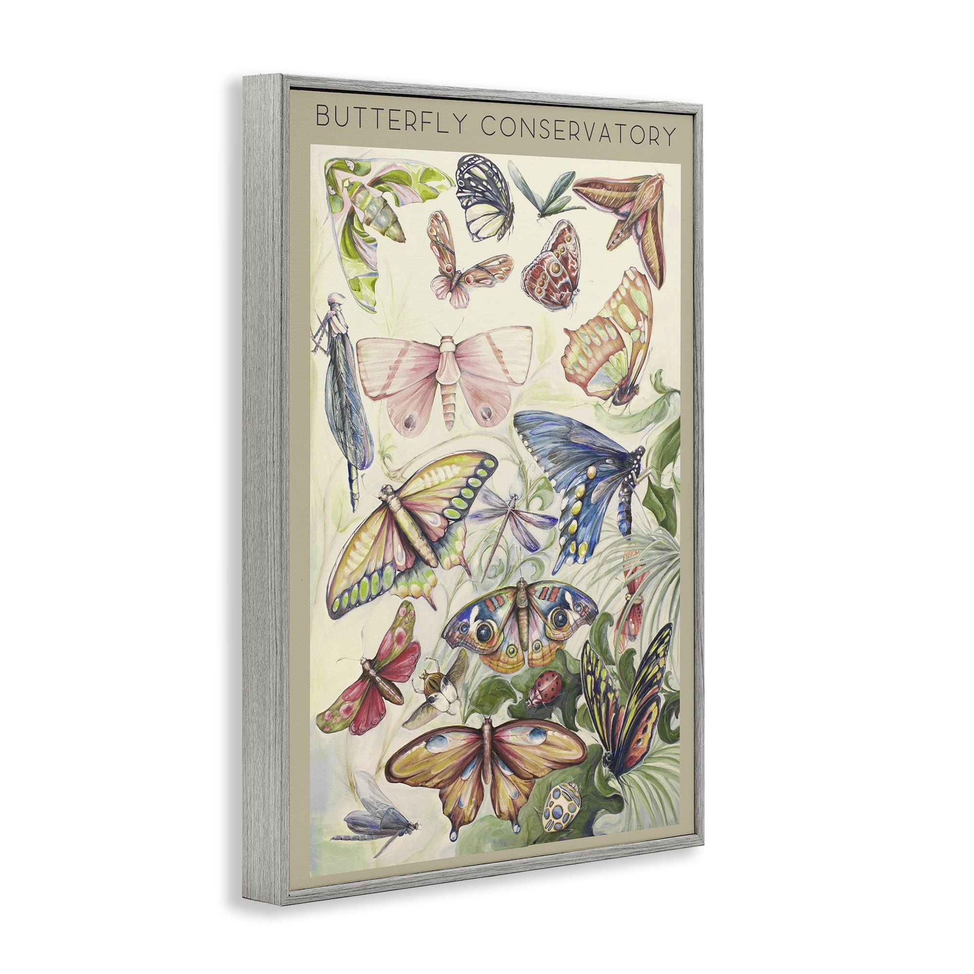 Stupell Industries Butterfly Conservatory Insects Gray Framed Giclee Art, design by Diannart