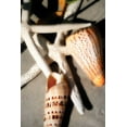 thumbnail image 2 of Hausenflock, Alan 23x32 White Modern Wood Framed Museum Art Print Titled - Shells by the Sea I, 2 of 4