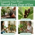thumbnail image 3 of Indoor Plant Food by Houseplant Resource Center - Organic Liquid Fertilizer for Pothos, Peace Lily, Monstera, Cactus and More - 8 oz, 3 of 9
