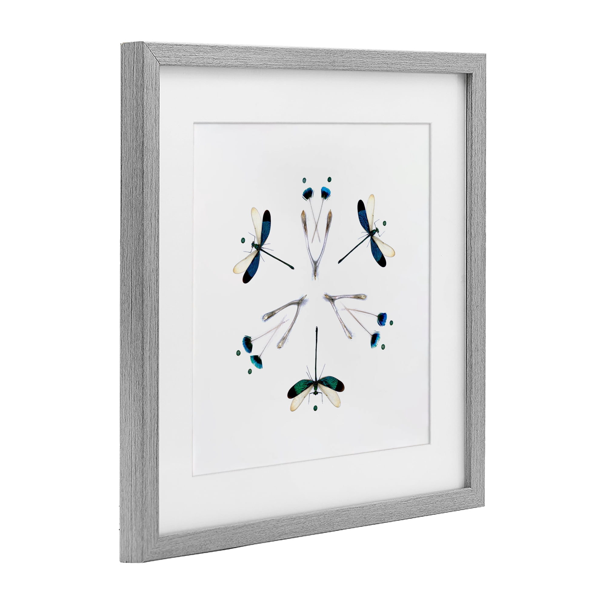 Stupell Industries Simple Dragonfly Symmetry Gray Framed Print Under Glass, design by Beth Adoette