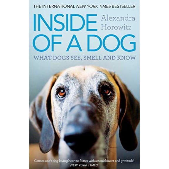 Pre-Owned Inside of a Dog (Paperback) 1849835675 9781849835671
