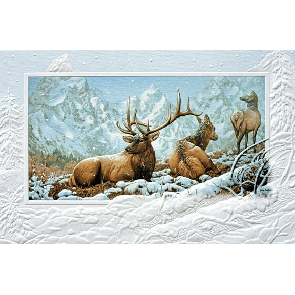 Pumpernickel Press Embossed Blank Greeting Cards Boxed Set – Storm Watch, 16 Count