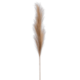 thumbnail image 1 of Bouclair Beige Pampas Stem, 1 of 2