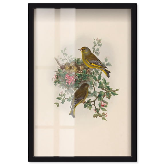 Poem of New Life Shadowbox Print Botanical Art by Art Remedy, Black Frame, 10 x 15