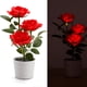 thumbnail image 2 of Naiovety Luz LED solar Bonsai único Lámpara de maceta Planta en maceta Luces de rosas Jardín Lámparas de noche Césped Dormitorio Hogar Decoración del hogar Blanco, 2 of 6