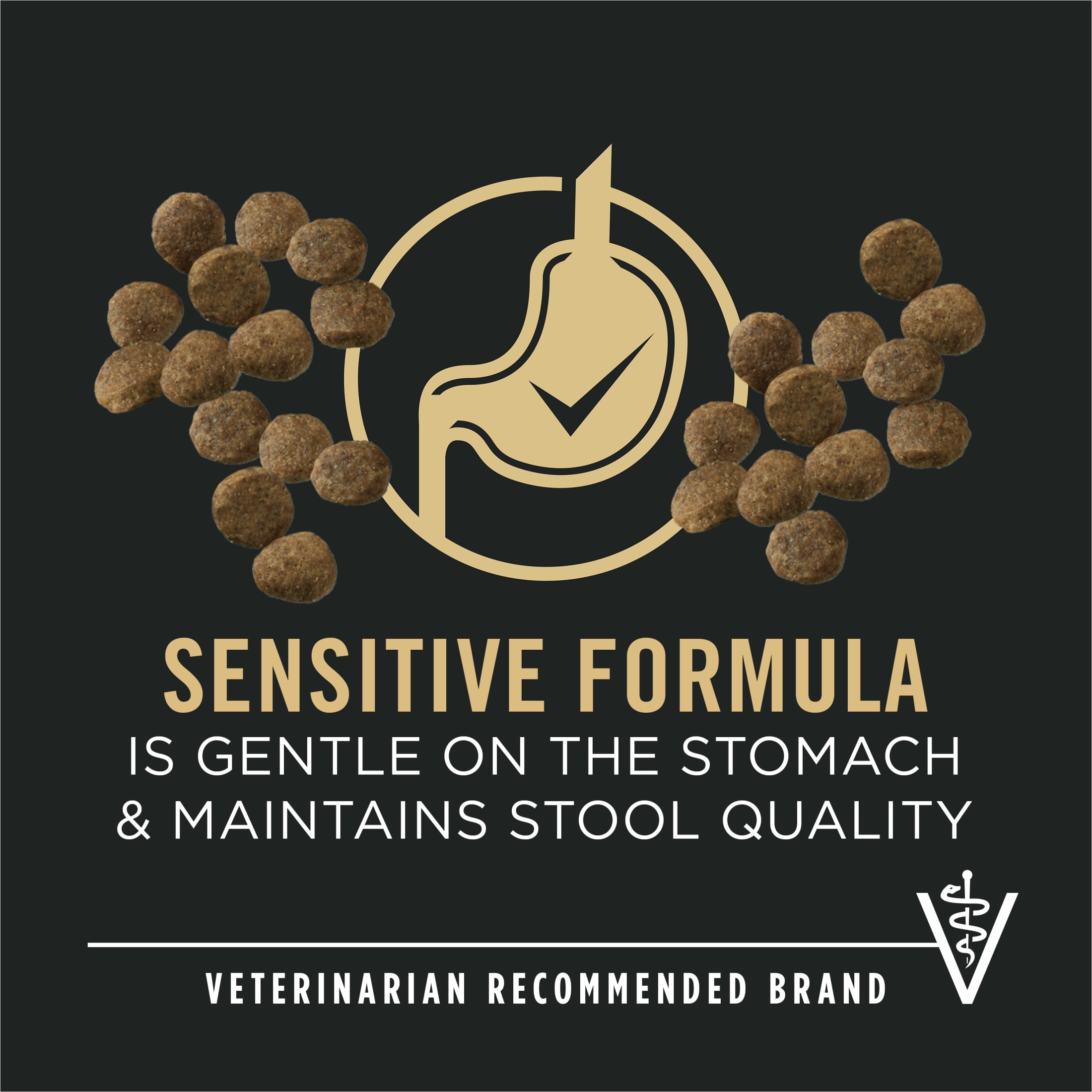 Purina Pro Plan Puppy Sensitive Skin & Stomach Salmon Rice 24 lb photo 2