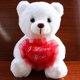 thumbnail image 4 of Juguete de Peluche de Oso con Luz Nocturna Colorida LED para Niños Felpa Suave Temporizador de Apagado Automático Regalo Ideal 86 Pulgadas ANGGREK  Otros, 4 of 6