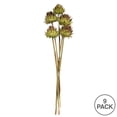 thumbnail image 5 of Vickerman 15"  Basil Artichoke Head attached to a Reed Stem, Dried, 5 of 5