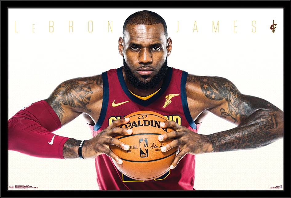 LeBron James Collage Cleveland Cavaliers Poster FREE US SHIPPING 