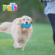 thumbnail image 2 of Juguete para Perro Fancy Pets Pesa Flexible con Sonido Grande 1 pza, 2 of 2