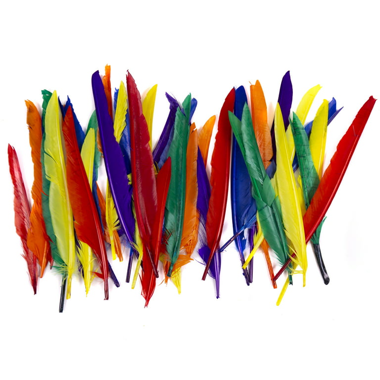Rainbow Cosse Duck Feathers - Bulk lb