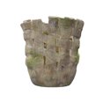 thumbnail image 1 of HANDMADE CLAY BASKET MOSSED STONE POT 6.5", 1 of 4