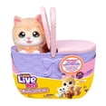 thumbnail image 4 of Juguete Set de Juego Familias Little Live Pets con Mama y Gatitos, 4 of 5