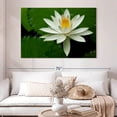thumbnail image 2 of Elephant Stock White Lotus Flower Wall Art - Horizontal Canvas Wall Art - Living Room Wall Decor - Floral And Botanical Canvas - Green And Black Decor - 51" x 34", 2 of 8