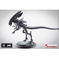 thumbnail image 2 of Alien vs Predator: Alien Queen, 2 of 3