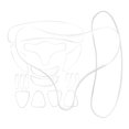 thumbnail image 1 of Etiqueta Engomada De La Arruga Tiras de estiramiento facial Almohadillas de silicona convenientes para la piel para el cuidado del cuerpo (G) Likrtyny Cuidado Belleza, 1 of 6