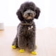 thumbnail image 3 of 4 piezas lindo patrón de dibujos animados calcetines para mascotas zapatos de cachorro de interior suministros para mascotas para el invierno (rana, s) oso de fresa Electrónica, 3 of 7