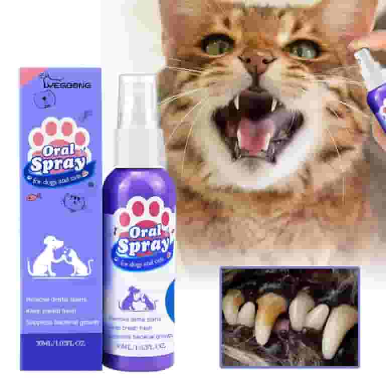 How to Clean Dog Teeth Without Brushing: Easy Tips