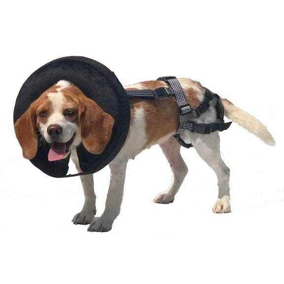 The PABS Delay her Spay Dog Chastity Belt, Sanitary Pad, and Inflatable Collar System (Small with 4 Sani-T Pads)