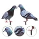 thumbnail image 4 of 2 estacas decorativas para jardín con forma de paloma, esculturas realistas de palomas, estacas acrílicas de animales., 4 of 5