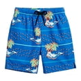 thumbnail image 3 of PRfgtbd Boys Swim Trunks Graphic Printed Summer Beach Shorts For Kids Swimming Shorts With Compression Liner Swimwear Casual Bathing Suit 2-3 Years, 3 of 3