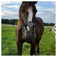 thumbnail image 5 of Best Friend Have a Heart Muzzle Horse, 5 of 5