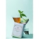 thumbnail image 4 of Té de Menta Harney & Sons 20 Sobres 34g Hierbas, 4 of 4