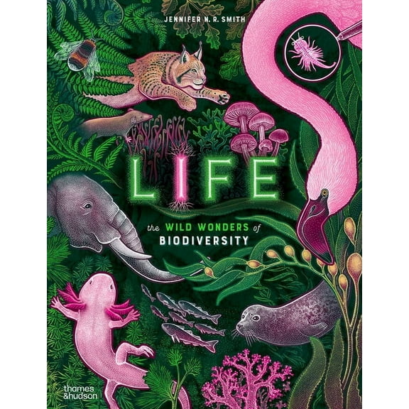 Wild Wonders Life: The Wild Wonders of Biodiversity, Book 3, (Hardcover)