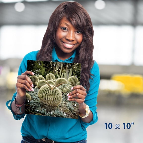 3drose, Cactus Garden Ball Cactus, 10x10 Wall Clock