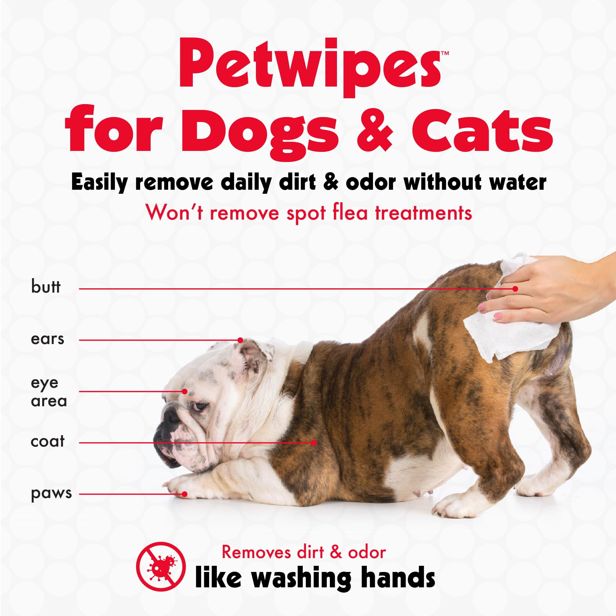 Puppy wipes walmart online