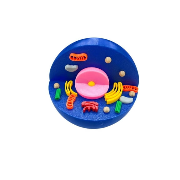 1pc 3D Printed Animal Plant Cell Model Desktop Ornament 3d Printed Animals Home Office Craft Printed Christmas Gifts