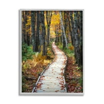 Stupell Industries Nature Path Autumn Foliage Landscape Photography Gray Framed Art Print Wall Art