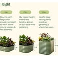 thumbnail image 6 of Vego Garden Raised Gardening Bed Kit 11" Tall 4 in 1 Modular Metal Planter Box For Herbs Olive Green, 6 of 11
