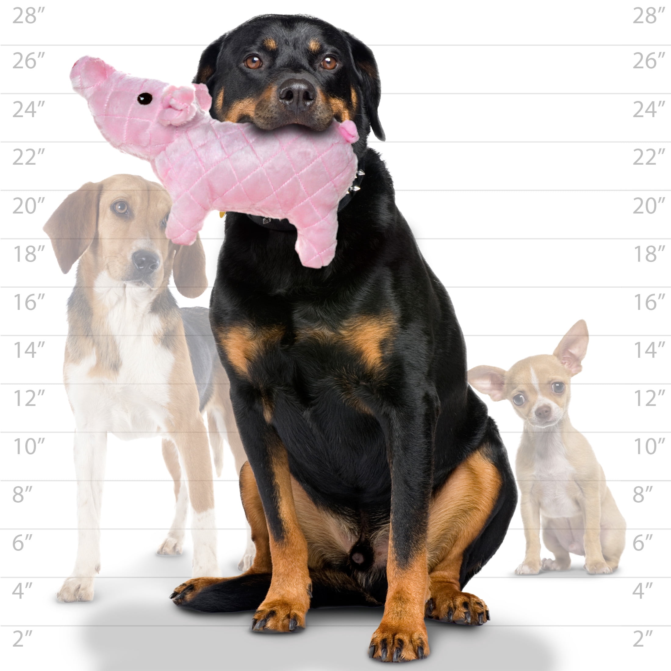 Mighty Farm Piglet Durable Plush Squeaky Dog Toy 2-Pack