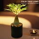 thumbnail image 3 of [Palmera] Planta Simulada Nocturna LED Pothos en Maceta USB Oficina Paisaje Interior Decorativa (A), 3 of 9